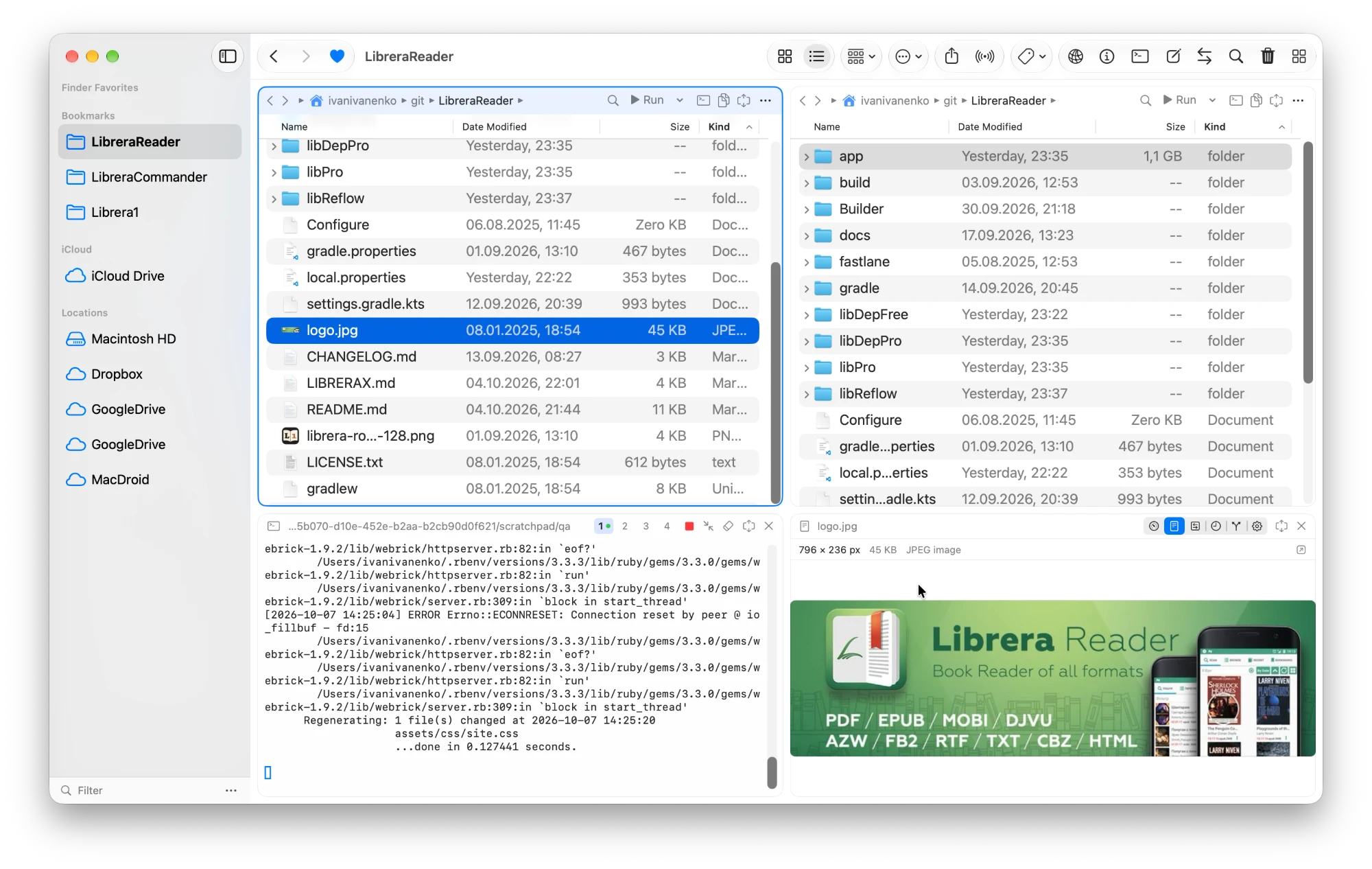 The info panel previewing logo.jpg selected in the left file panel, with its size and dimensions