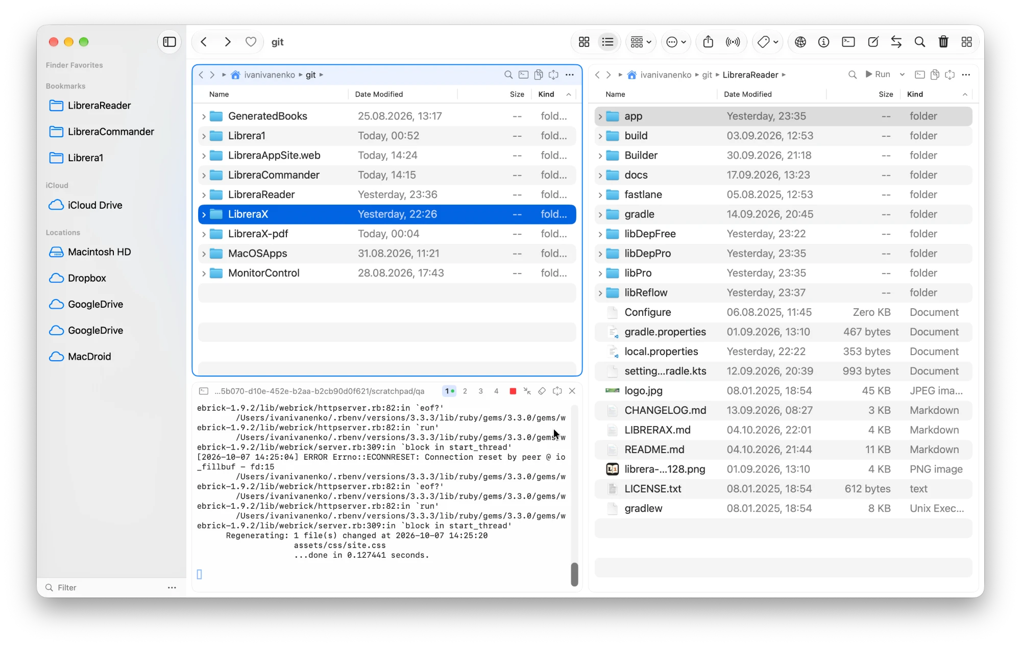 Two Finder-style file panels side by side with the sidebar of bookmarks and locations, and a terminal docked below