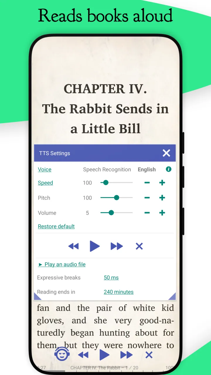 Text-to-speech settings over an open book